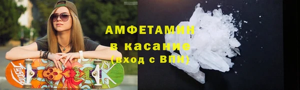 гидра Белокуриха