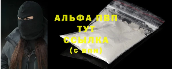 гидра Белокуриха