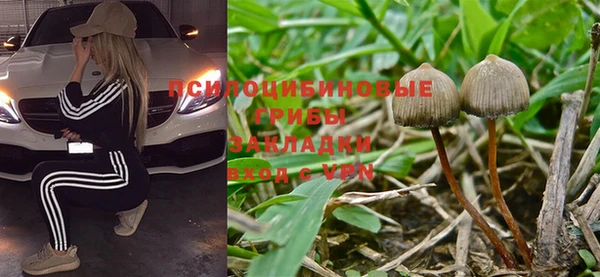 гидра Белокуриха