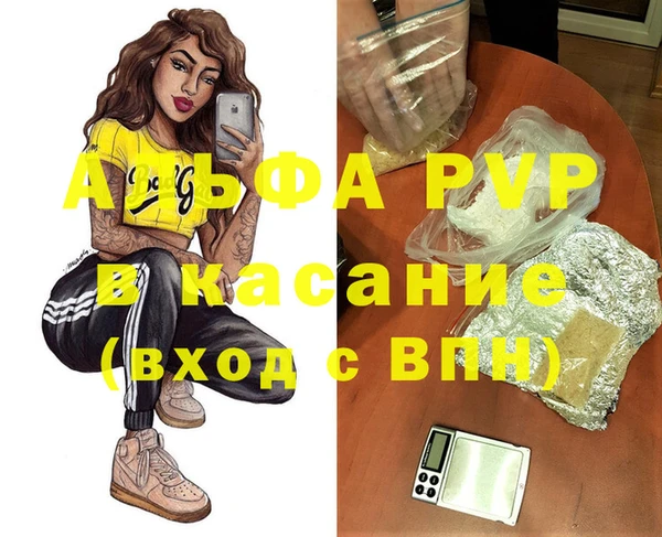 прущие грибы Баксан