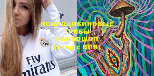гидра Белокуриха